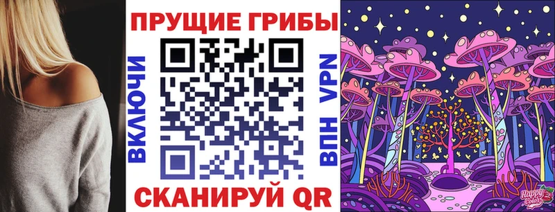 что такое   блэк спрут   Галлюциногенные грибы мицелий  Новый Оскол 